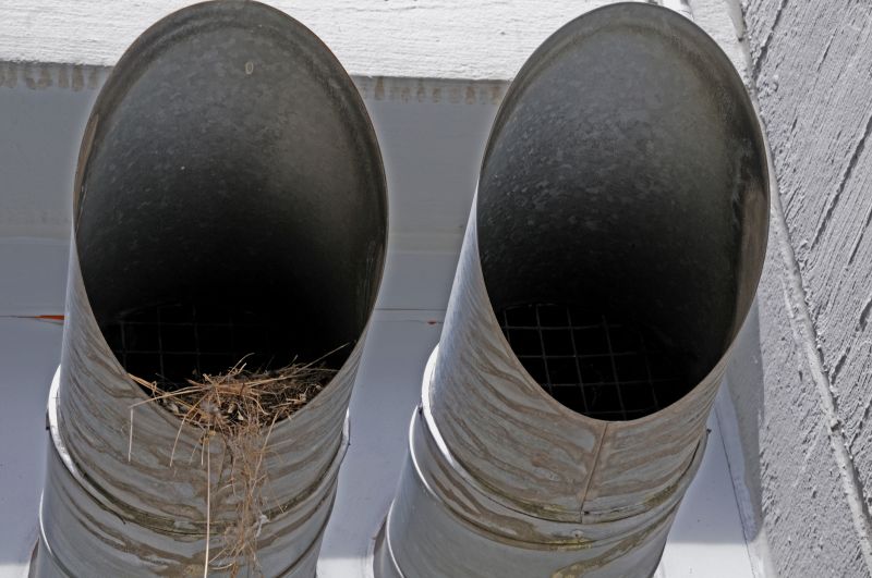 Birds Removal From Vents