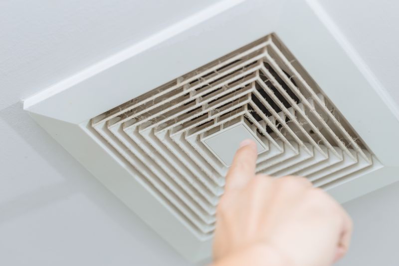 Birds Removal From Vents