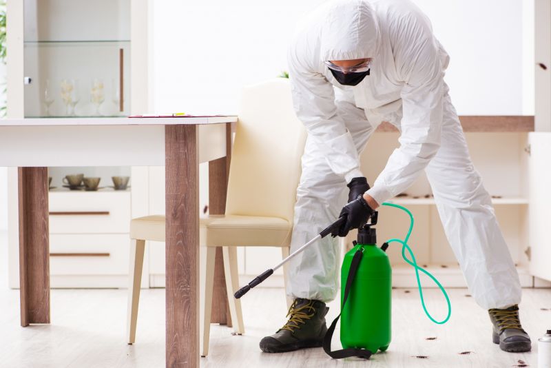 Commercial Pest Management