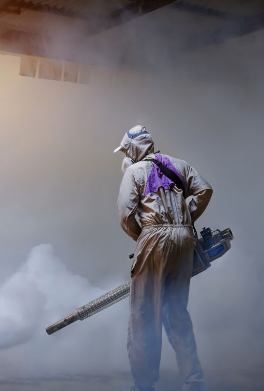 Spider Fumigation Service in San Antonio, TX