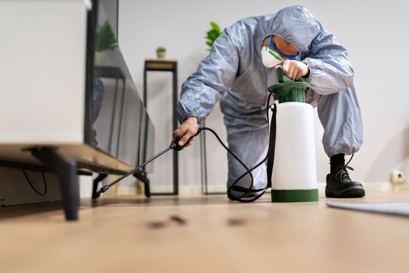 Spider Fumigation Service in Wilmington, NC